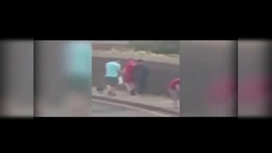El maltrato de un chihuahua pone 'rabiosos' a los internautas