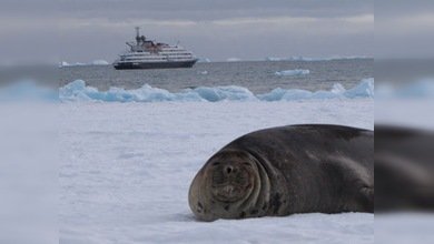 Crucero turístico de lujo averiado navega hacia las costas de Argentina