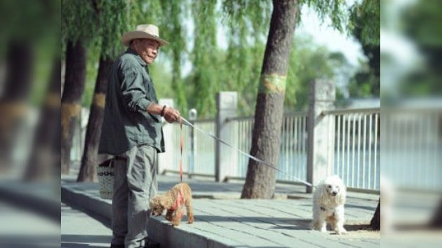 La ciudad china de Jiangmen, en guerra contra los perros
