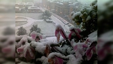 El Coliseo de Roma cierra por la nieve