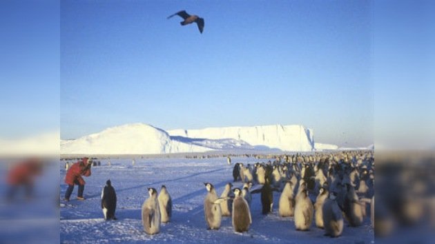 ¿Qué hacen los científicos en la Antártida?