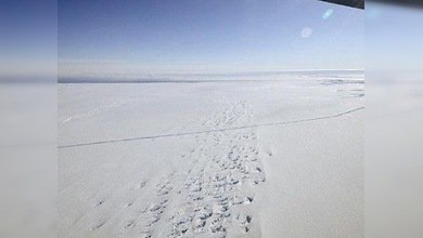 Un pesquero ruso se hunde entre los hielos de la Antártida