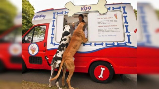 En Londres venden helado para perros