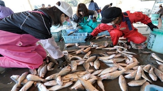 Detectan peces con alto nivel de cesio radioactivo en Japón
