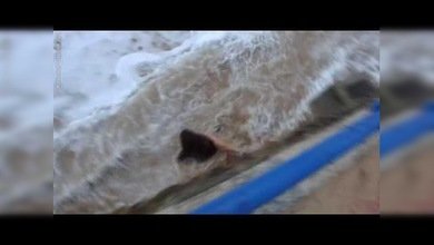 El precio de desafiar a la naturaleza: una ola arrastra a una mujer en la playa del Sardinero