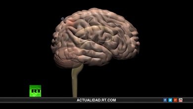 Tecnología de punta: Rusia y EE.UU. buscan acorralar al cáncer