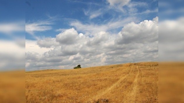 La sequía en Rusia acaba con el 26% de los cultivos de cereales