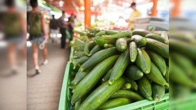 Alemania exculpa a España por la ‘crisis del pepino’