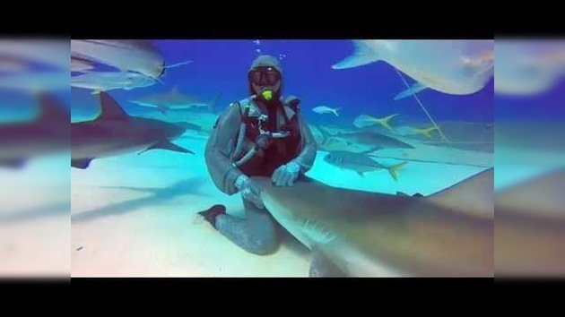 Una buceadora acaricia a un tiburón como si fuera cachorrito