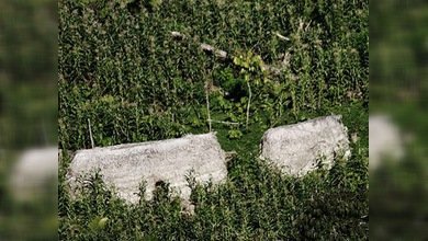 Brasil localiza vía satélite a una tribu indígena desconocida 