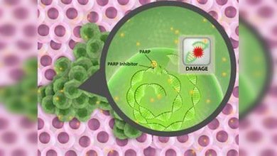 Un tratamiento del cáncer de mama podría también curar otros tipos de tumores