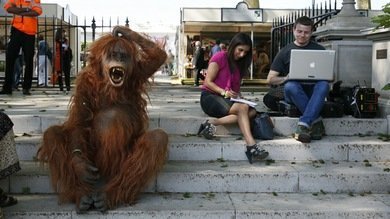 Las redes sociales nos hacen sentir irritados e ineptos