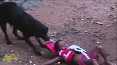 “¡No me rescates!”: Perro valiente ‘salva’ a un niño de un buen chapuzón