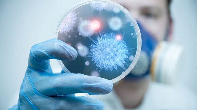 Experimentos en el corazón de Europa podrían provocar una pandemia vírica
