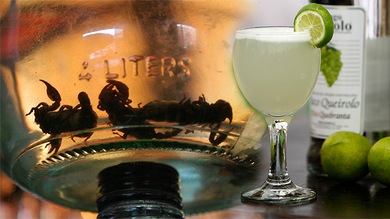 Las bebidas más famosas de América Latina