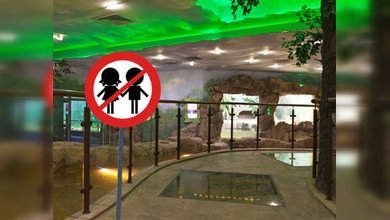 El acuario ruso que vetó la entrada a niños autistas, 'pescado' en la Red