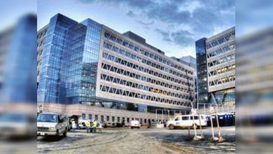 Casarse con una activista puede rebajar sus privilegios profesionales en EE. UU.