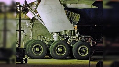 En avión encuentran cadáver de polizón libanés