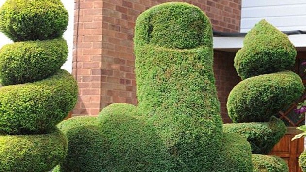 En el Reino Unido una persona se siente insultada por un arbusto
