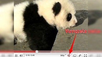 Las vuvuzelas conquistan la red 