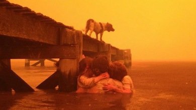 Fotos: Dos abuelos salvan a sus cinco nietos de un incendio manteniéndolos en el agua
