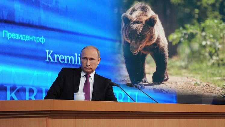 Putin sobre la relación Rusia-Occidente: Al oso siempre tratarán de ponerle una cadena