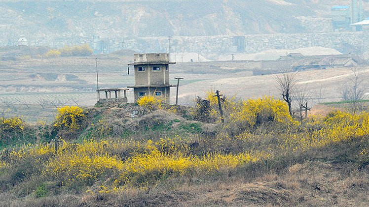 Corea del Norte: El árbol de Navidad de Seúl en la frontera es una declaración de guerra