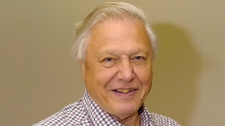 David Attenborough: La humanidad puede entrar en peligro de extinción 