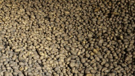 Empresa mexicana invierte 50 millones de dólares en una fábrica de papas fritas en Rusia