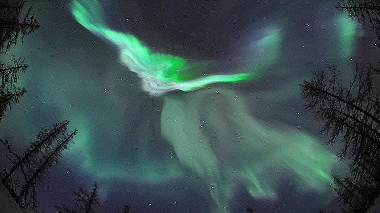 ¿Las mejores fotos de auroras boreales jamás vistas?