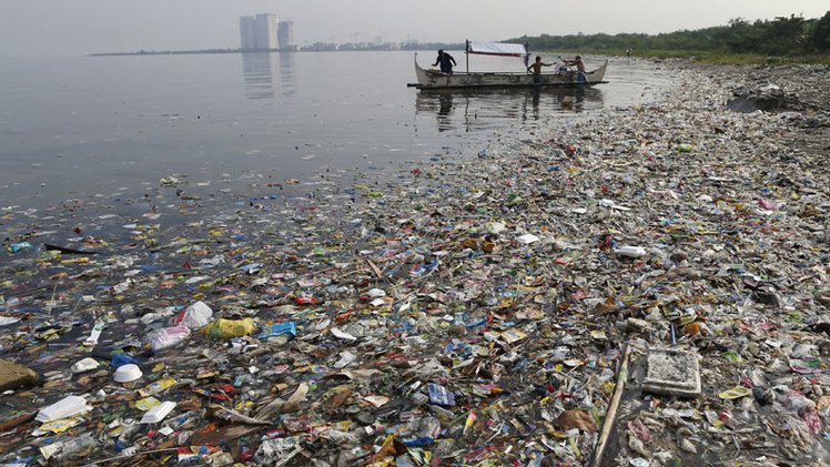 Bióloga: "En solo 50 años hicimos que el océano literalmente colapsara"