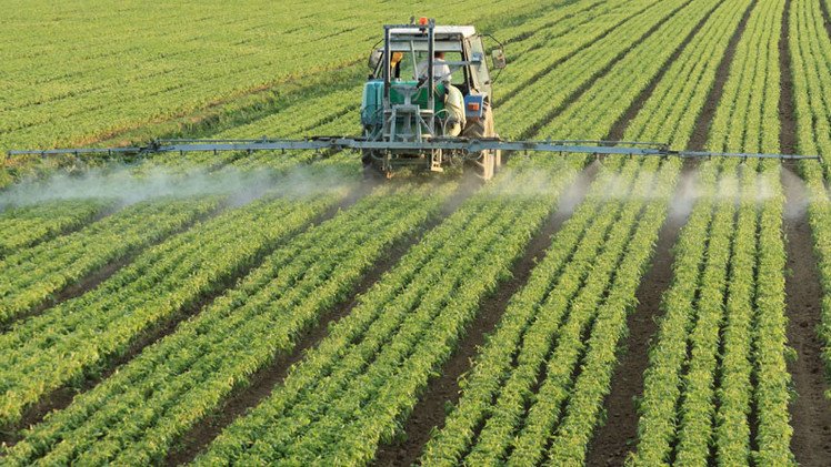 Estudio: Herbicidas de Monsanto dañan el ADN 