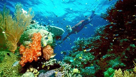 10 lugares del planeta que hay que visitar antes de que desaparezcan