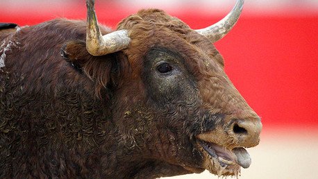 Video brutal: Multitud mata a un toro a golpes y patadas en Colombia