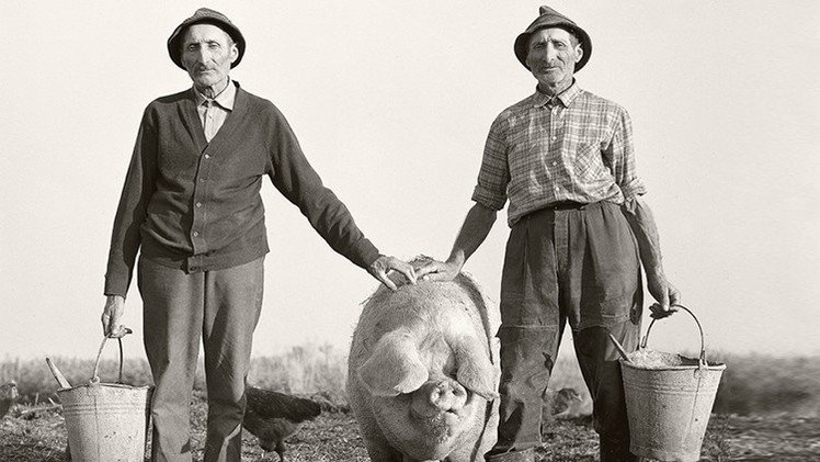 Fotos conmovedoras de mellizos agricultores al final de sus vidas