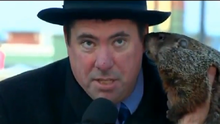 El día de la marmota muerden al alcalde en la orejota