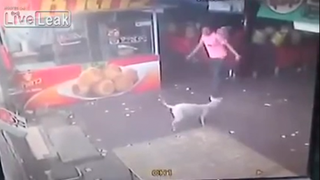 Un hombre intenta patear a un perro y recibe una inesperada lección