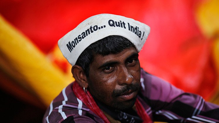 Monsanto termina sus polémicas pruebas para cultivar transgénicos en la India