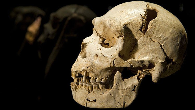 Descubren en África los restos del representante más antiguo del hombre contemporáneo