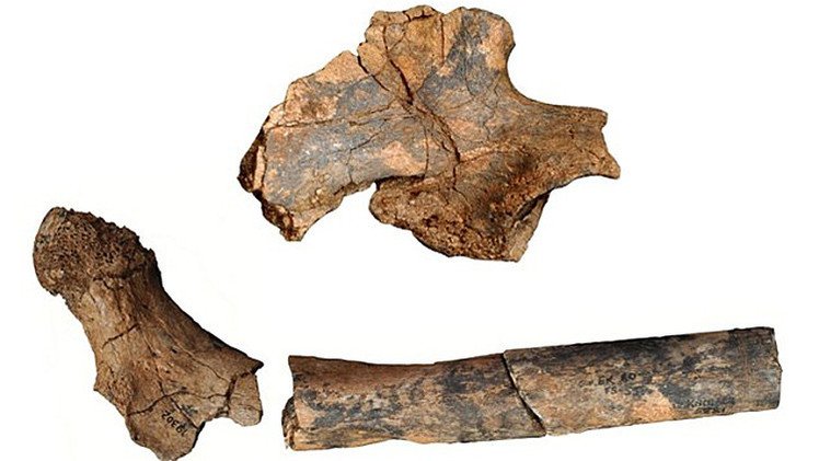 Hallan restos de ancestros humanos que revolucionan la teoría de la evolución