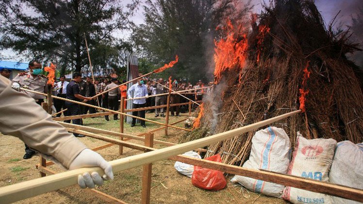 La Policía indonesia droga a un vecindario entero durante la quema de tres toneladas de marihuana