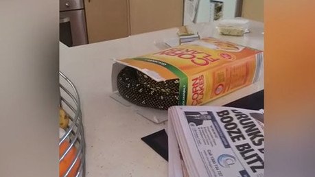 El juguete sorpresa más horroroso del mundo aparece en un cereal