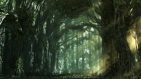 ¿Cuáles son los bosques que no se recomienda visitar?