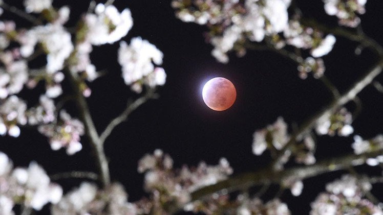 'Luna de sangre', un espectáculo celeste durante el eclipse lunar total