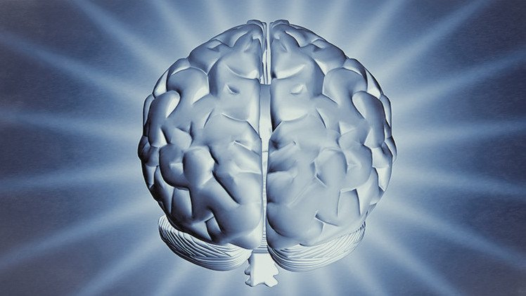 Científicos consiguen 'convertir' un cerebro femenino en masculino