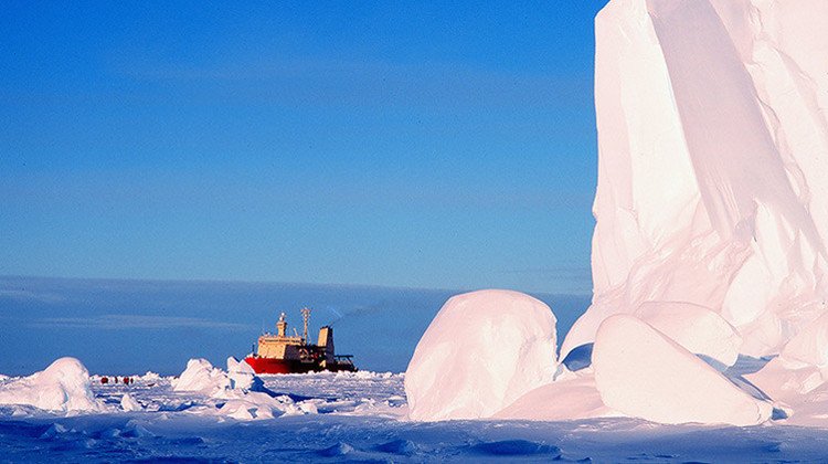 Video: Graban por primera vez la vida bajo el hielo de la Antártida