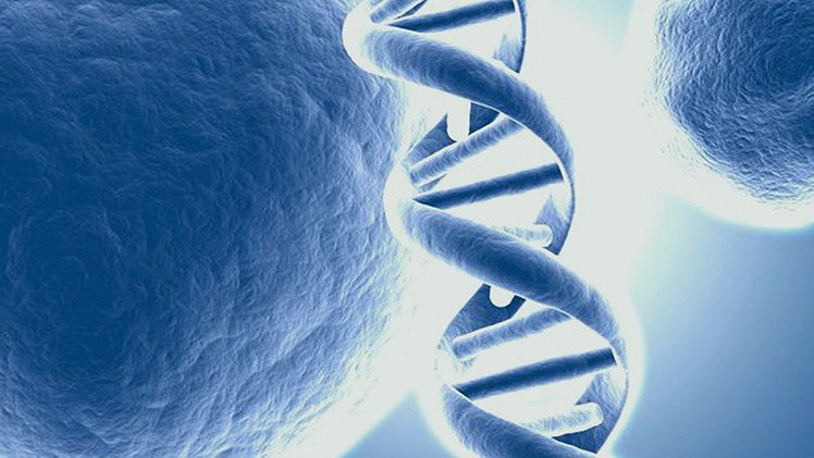 ADN artificial: ¿Una terapia universal contra el cáncer, el ébola y el VIH?