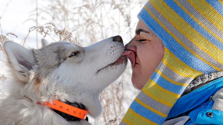 Revelan el secreto de la amistad entre los perros y sus dueños