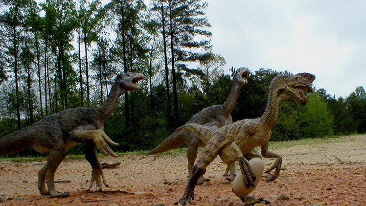 Arqueólogos hallan 43 huevos de dinosaurio en el sur de China