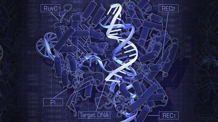Hito científico en China: Logran por primera vez modificar el ADN de embriones humanos